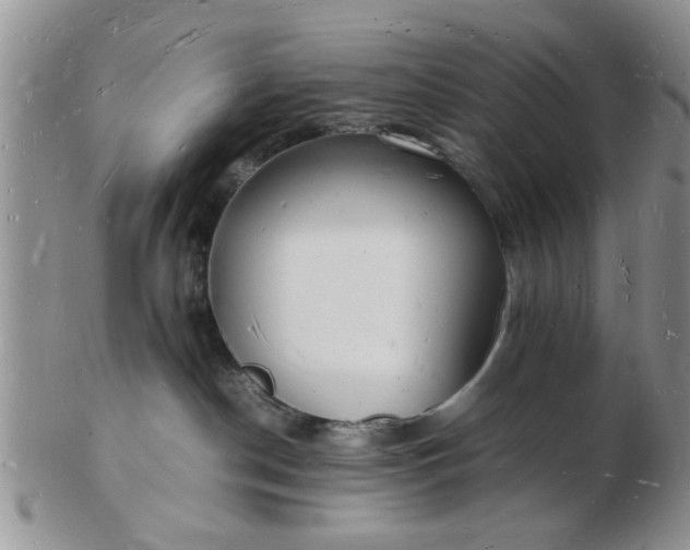 X0000103290190200809122016