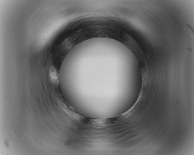 X0000103290191200809122016