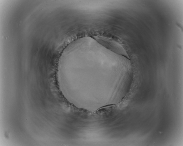 X0000103290192200809122016