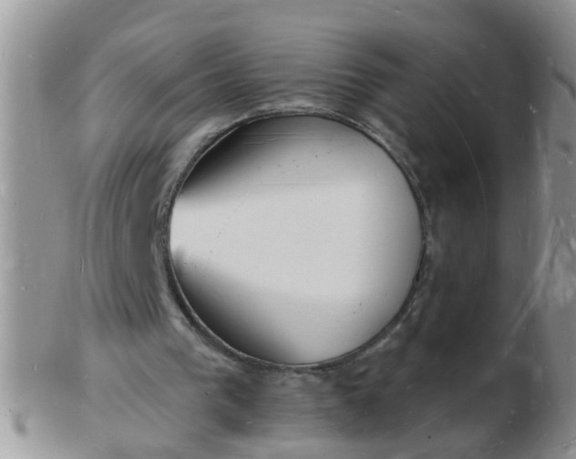 X0000103290193200809122015