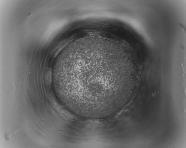 X0000103290194200809122015