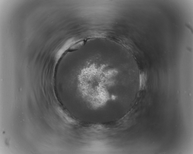 X0000103290195200809122015