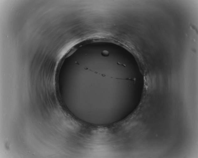 X0000103290196200809122015