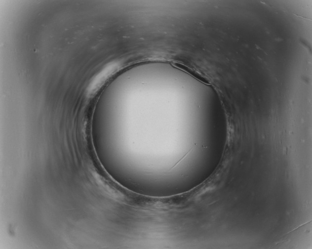 X0000103290197200809122015