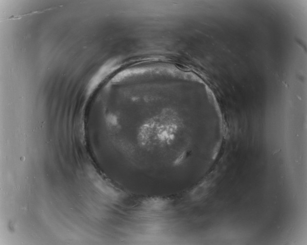 X0000103290198200809122015