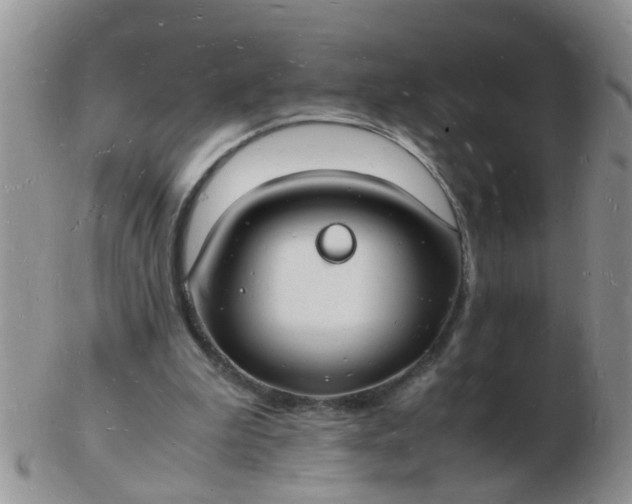 X0000103290199200809122015