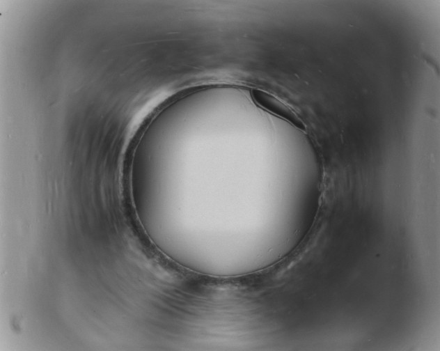 X0000103290200200809122015