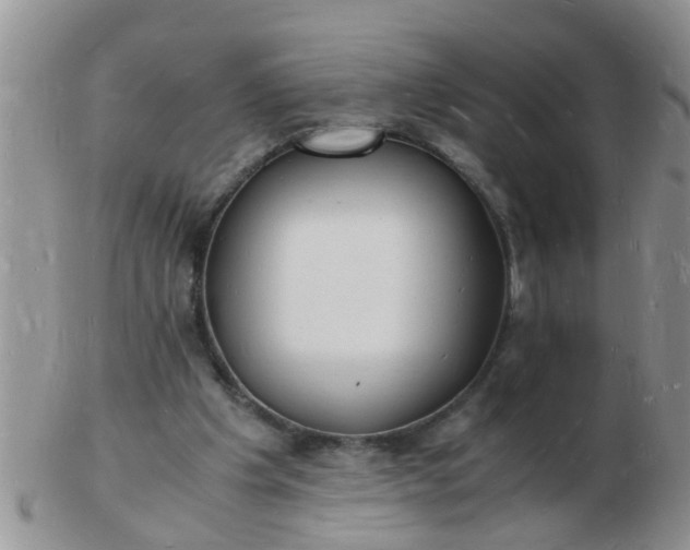 X0000103290201200809122015