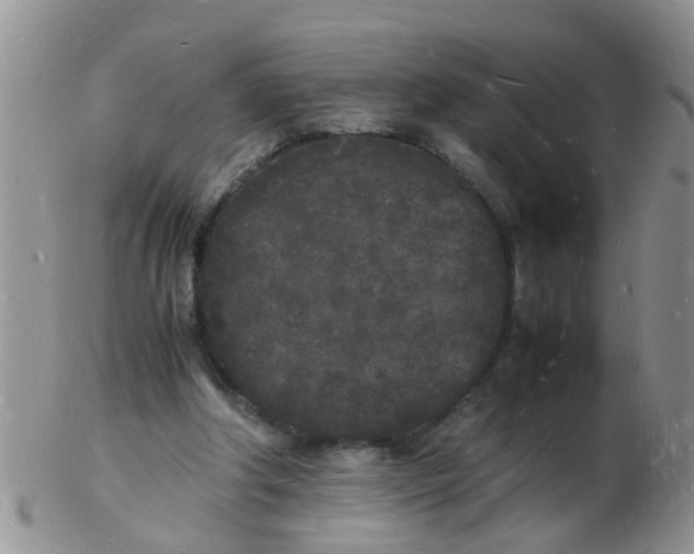 X0000103290202200809122015