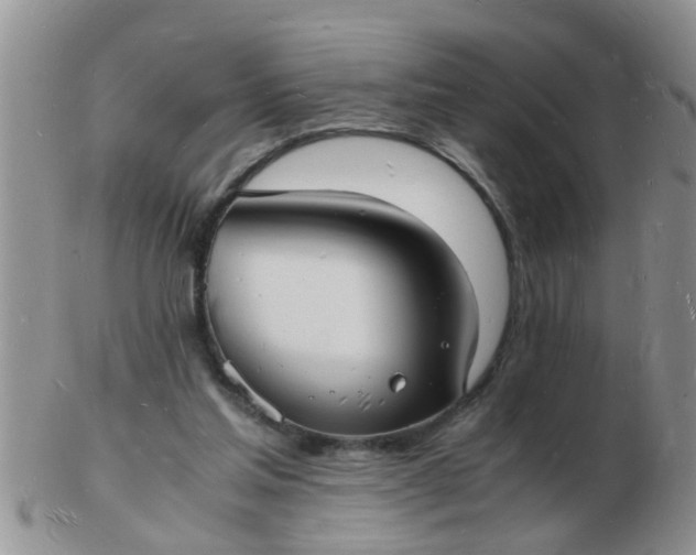 X0000103290205200809122015