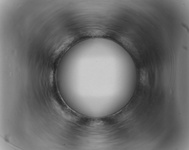 X0000103290206200809122015