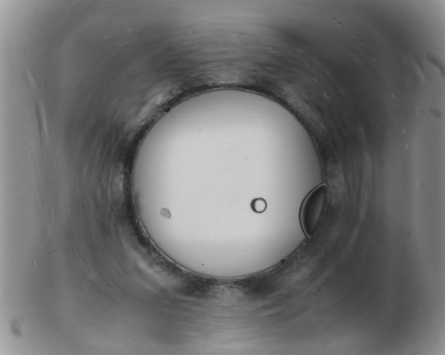 X0000103290207200809122015