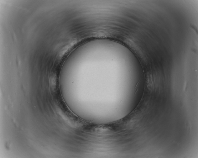 X0000103290208200809122015