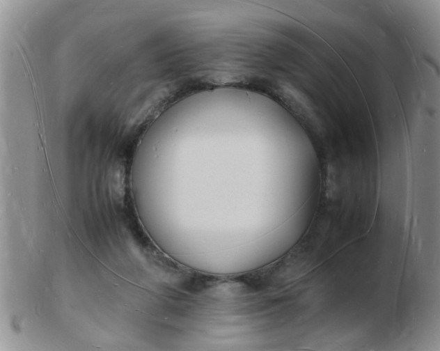 X0000103290210200809122015