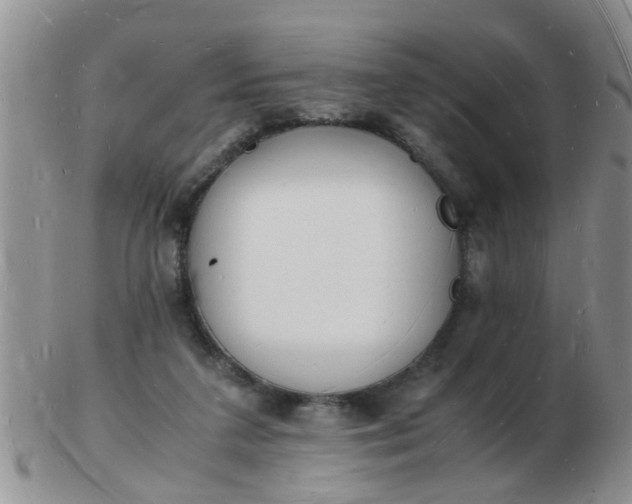 X0000103290211200809122015