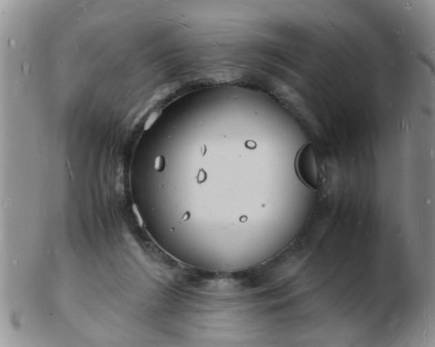 X0000103290212200809122015