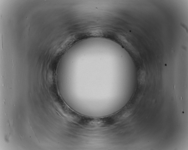 X0000103290213200809122015