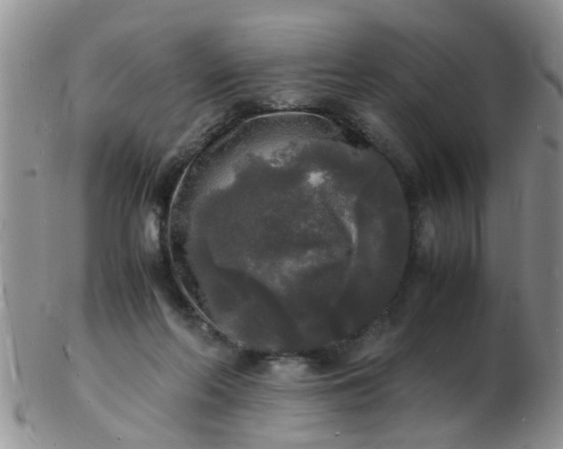 X0000103290214200809122015