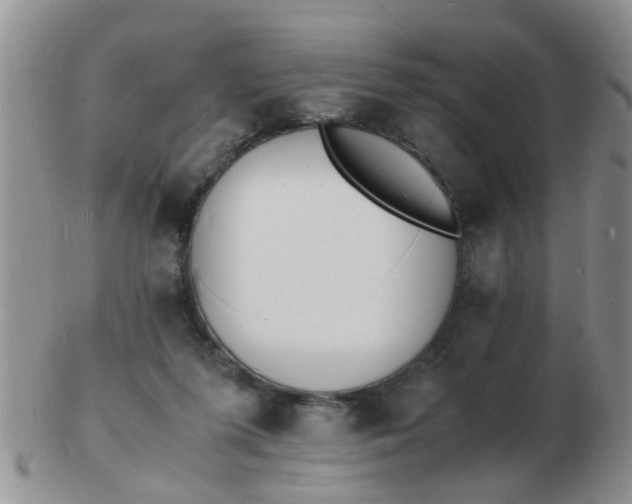 X0000103290215200809122015