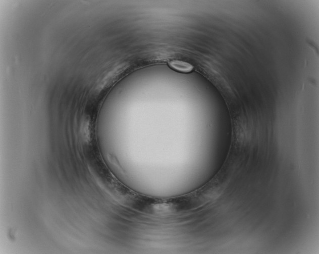 X0000103290216200809122015