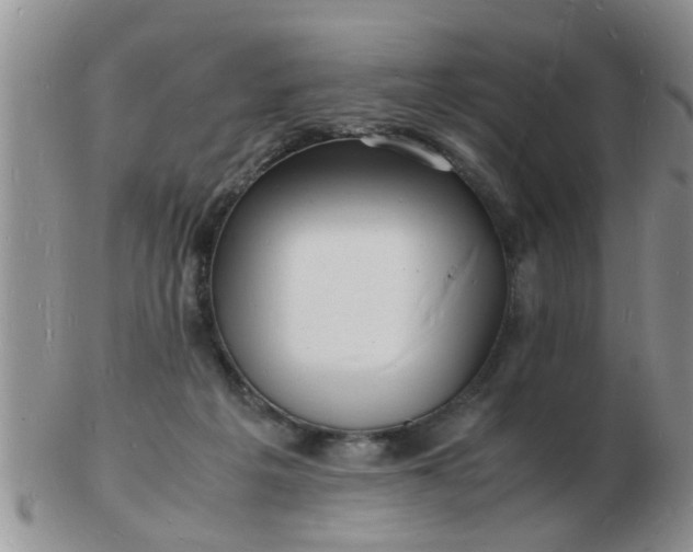 X0000103290217200809122015