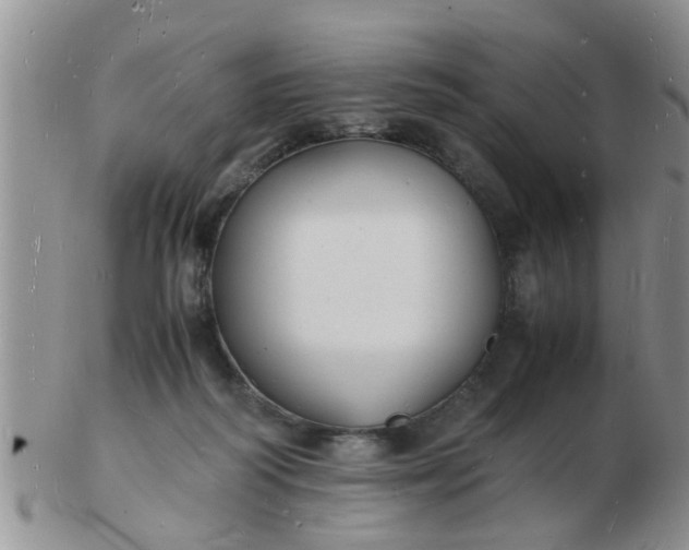 X0000103290218200809122015