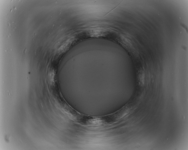 X0000103290219200809122015