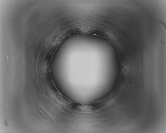 X0000103290221200809122015