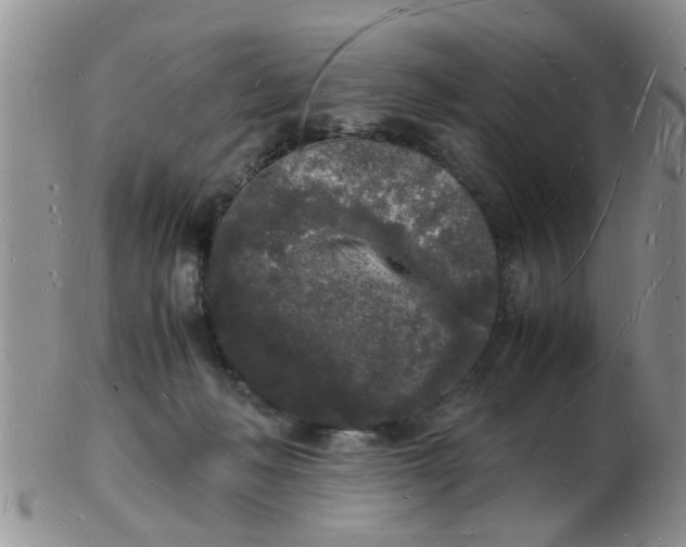 X0000103290222200809122015