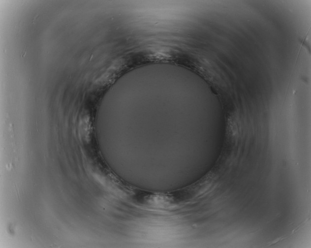 X0000103290223200809122015