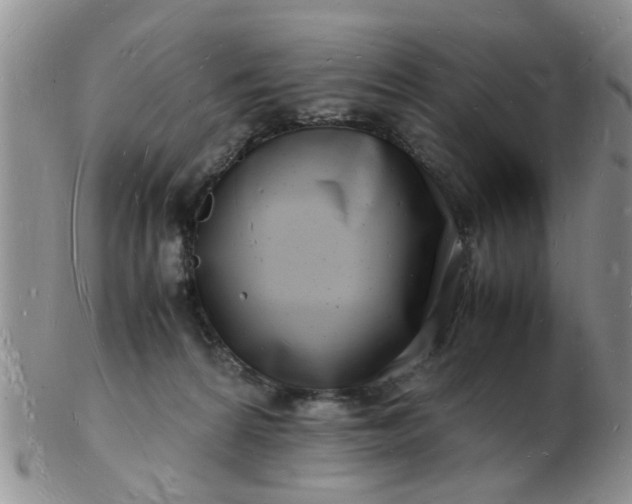 X0000103290224200809122015