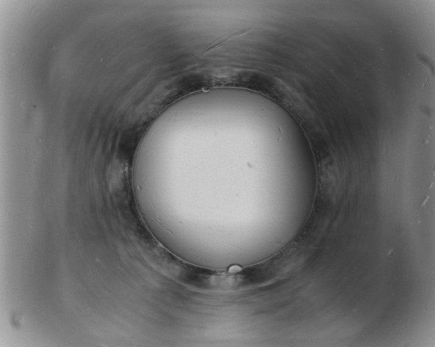 X0000103290225200809122015