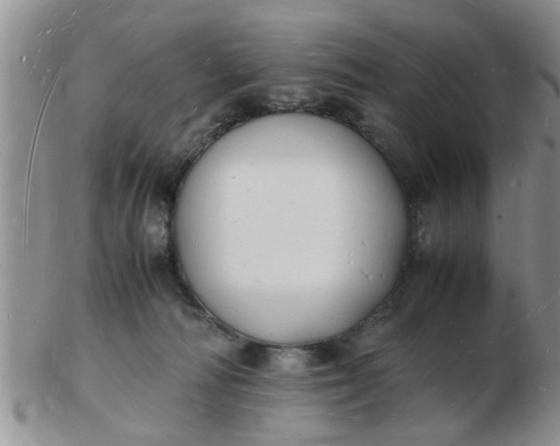 X0000103290226200809122015