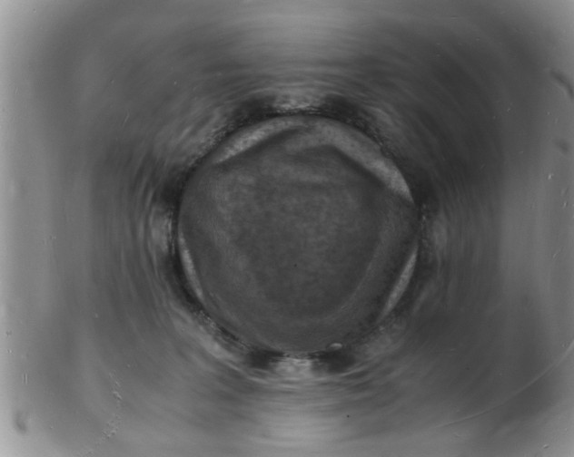 X0000103290227200809122014