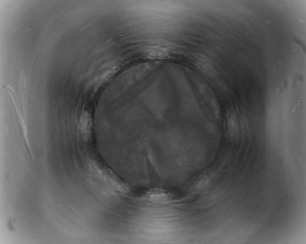 X0000103290228200809122014