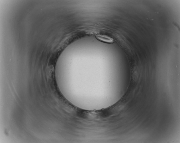 X0000103290229200809122014