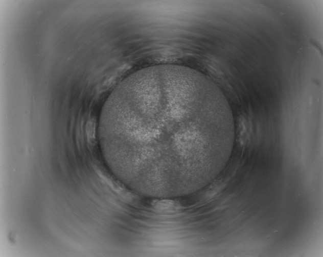 X0000103290230200809122014