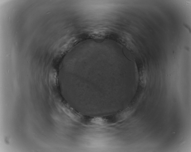 X0000103290231200809122014