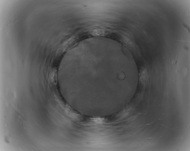 X0000103290233200809122014