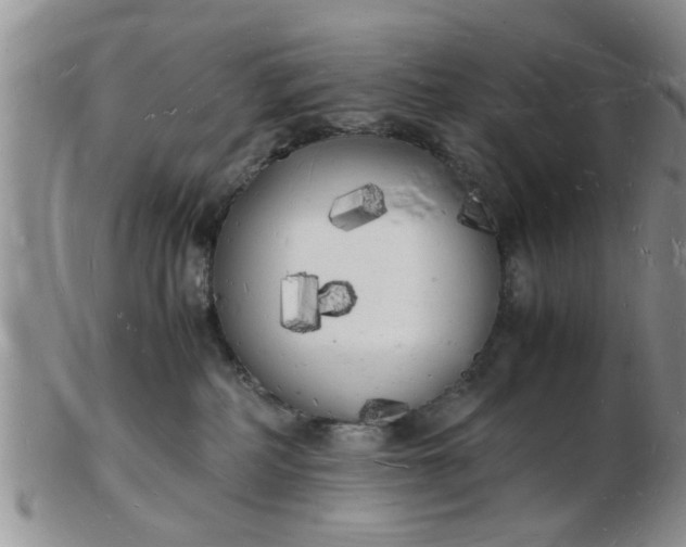 X0000103290234200809122014