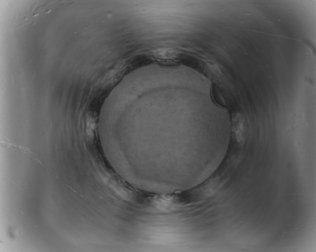 X0000103290235200809122014