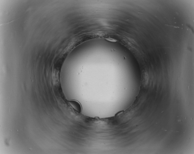 X0000103290236200809122014