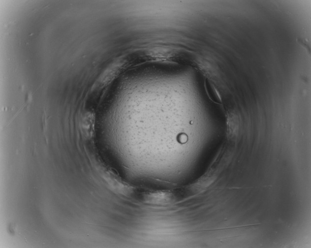 X0000103290237200809122014