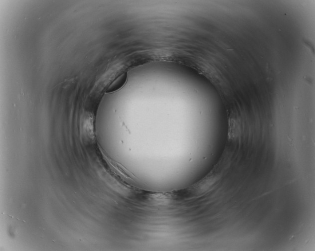 X0000103290238200809122014