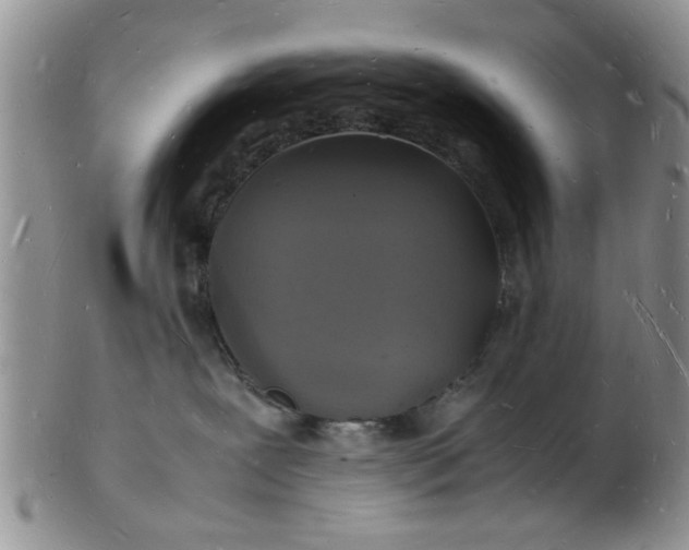 X0000103290239200809122014