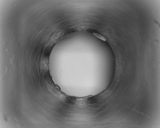 X0000103290240200809122014