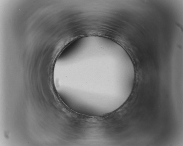 X0000103290241200809122013