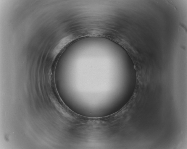 X0000103290242200809122013