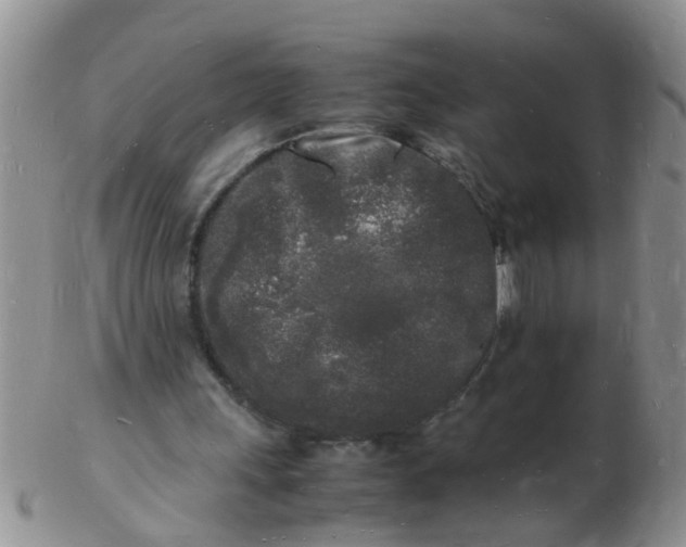 X0000103290243200809122014