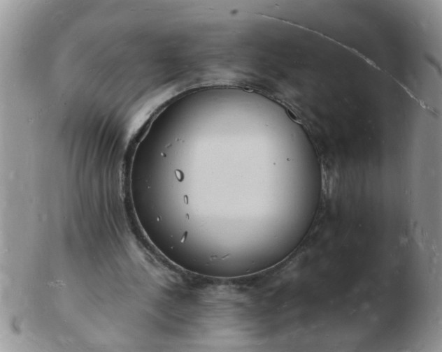 X0000103290244200809122014